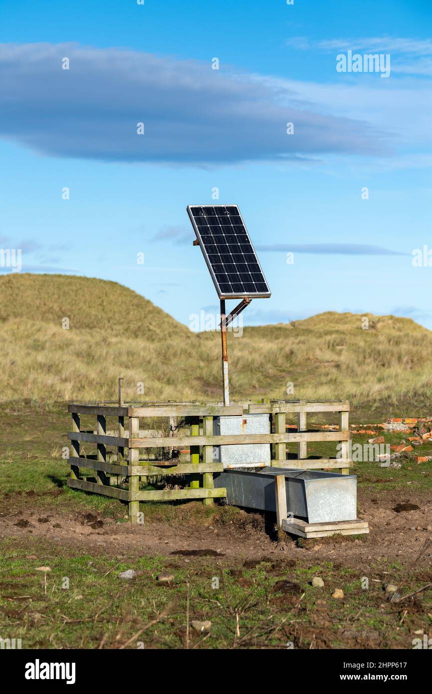 Pompe à eau à énergie solaire à une cuvette d'eau dans un champ isolé, Northumberland, Royaume-Uni. Banque D'Images