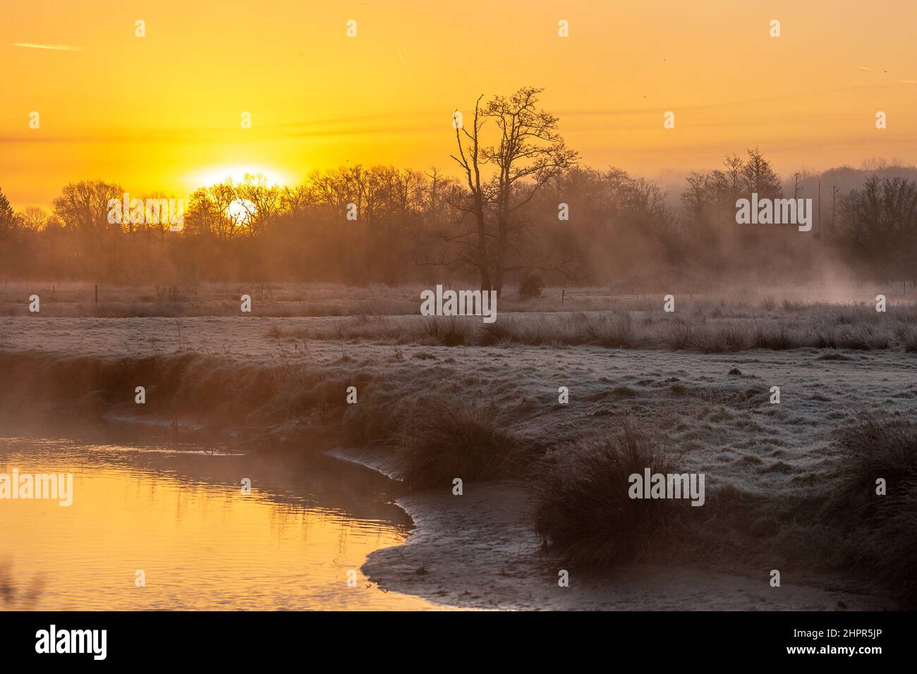 Waverley Lane, Elstead. 23rd février 2022. Un froid et givré début de journée pour les comtés d'origine. Des conditions glacielles le long de la rivière Wey à Thundry Meadows à Elstead, près de Godalming, dans le Surrey. Crédit : james jagger/Alay Live News Banque D'Images