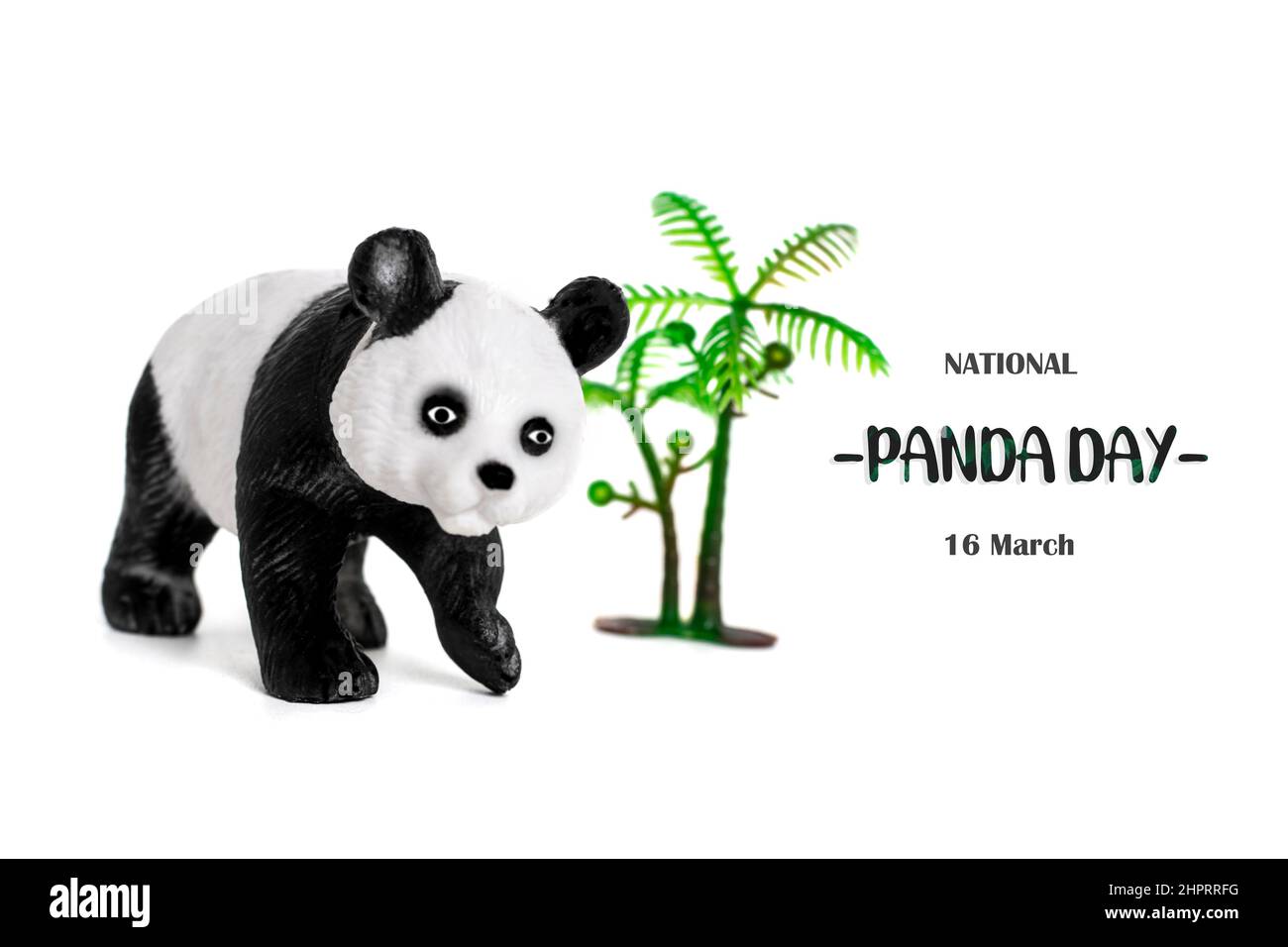 Journée nationale des panda 16 mars Célébrez les ours les plus fins et les plus mouflons de bambou qui sont source de fierté nationale pour la Chine. C'est pourquoi il est important de prot Banque D'Images
