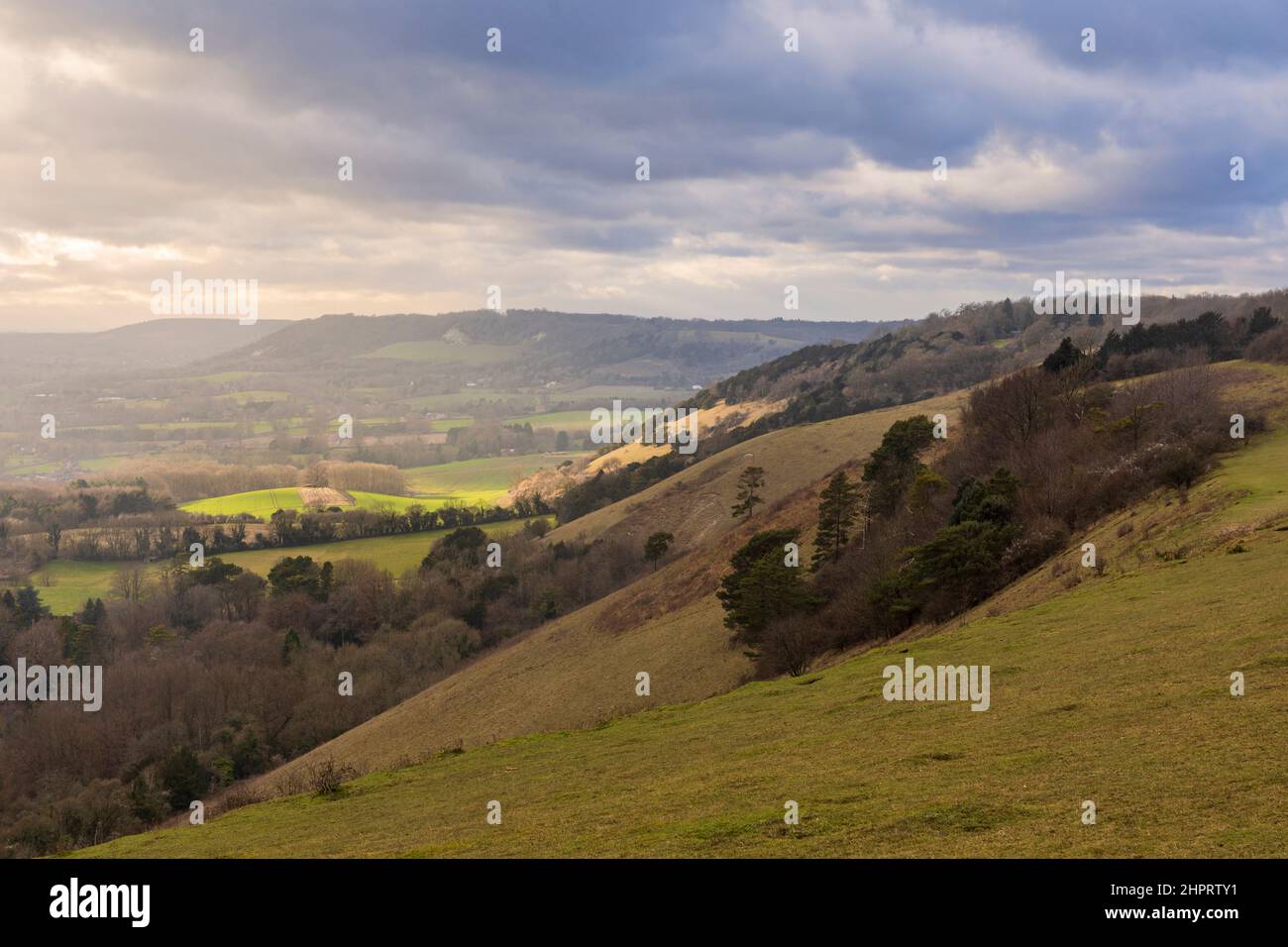 Vue de l'autre côté des collines de Surrey depuis Colley Hill Reigate Surrey, au sud-est de l'Angleterre Banque D'Images