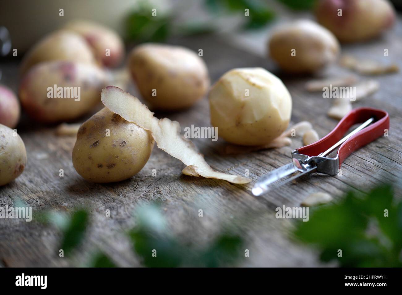 Pommes de terre photo Janerik Henriksson / TT code 10010 Banque D'Images