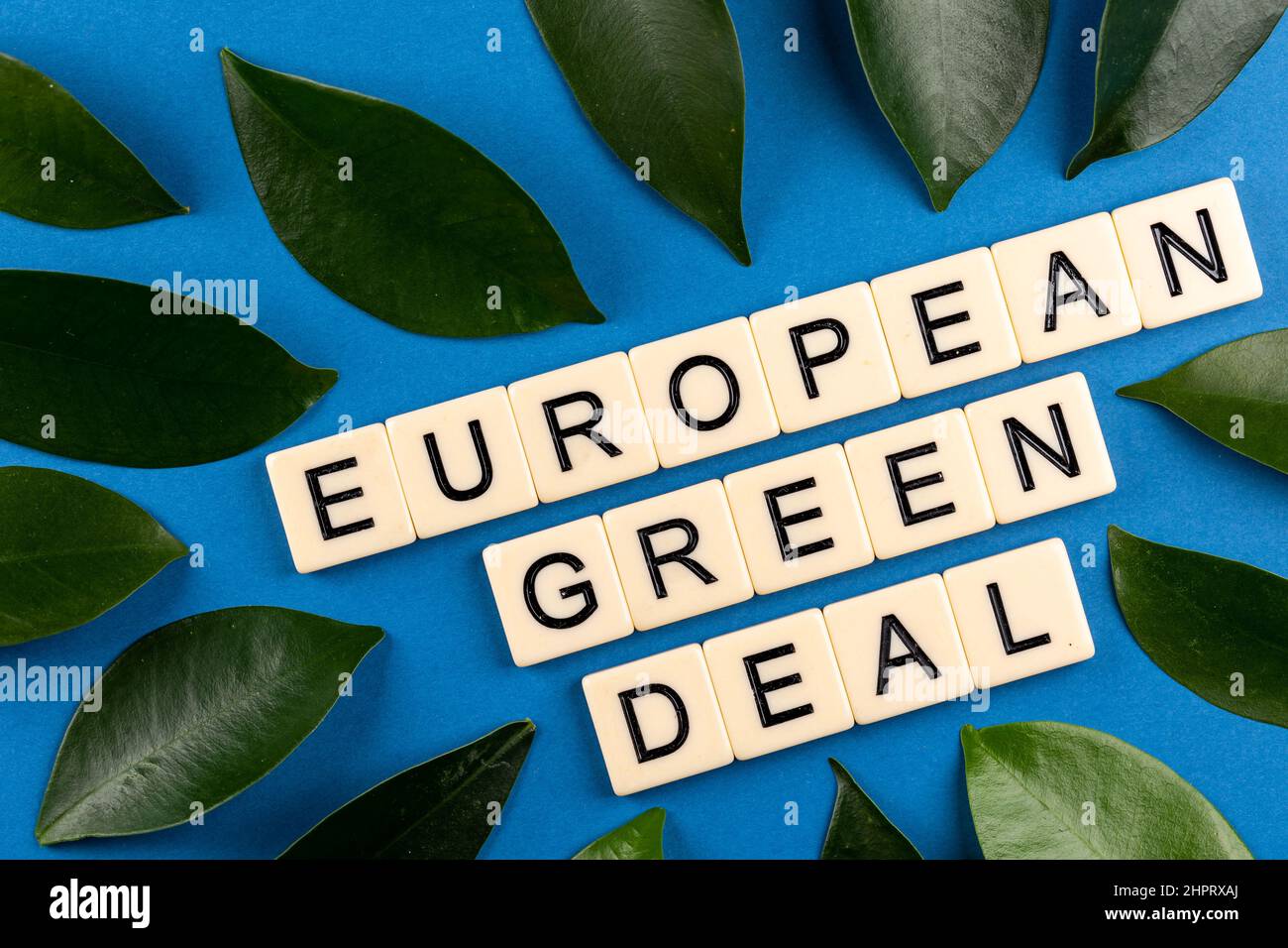 Phrase 'European Green Deal' composée de lettres placées sur fond bleu avec des laves vertes. Photo prise sous une lumière artificielle douce Banque D'Images