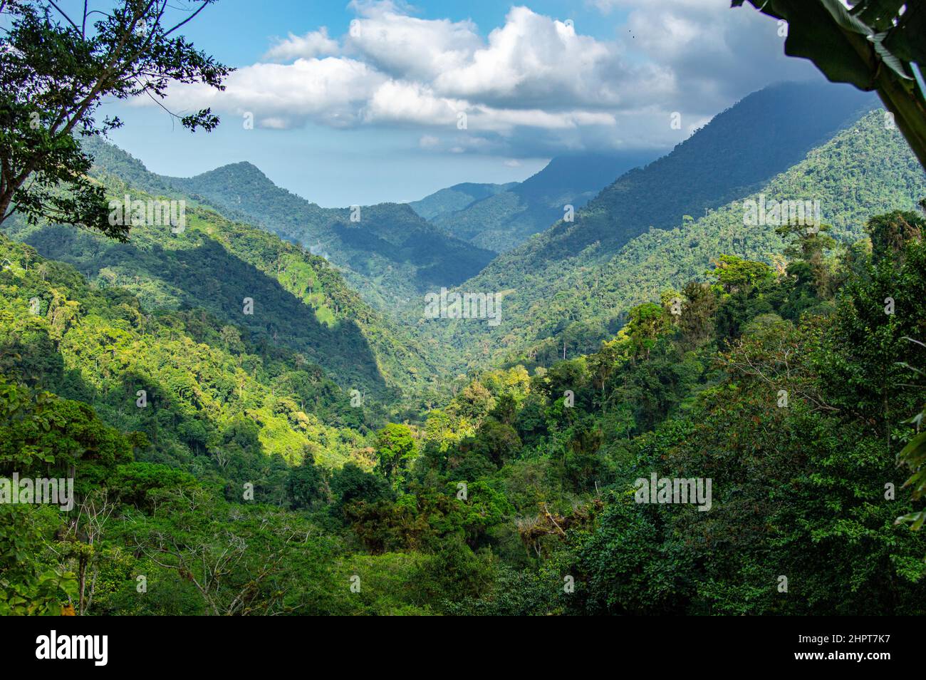 Vue sur le paysage de la jungle de la Sierra Nevada de Santa Marta, près de Lost City/Ciudad Perdida en Colombie Banque D'Images