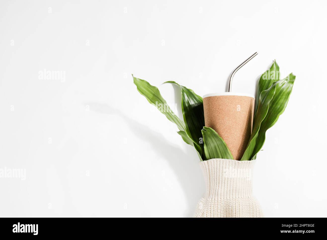 gobelet écologique réutilisable et branches de plante dans un manchon de chandail sur fond blanc. Mode de vie durable, consommation consciente, concept. Espace de copie Banque D'Images