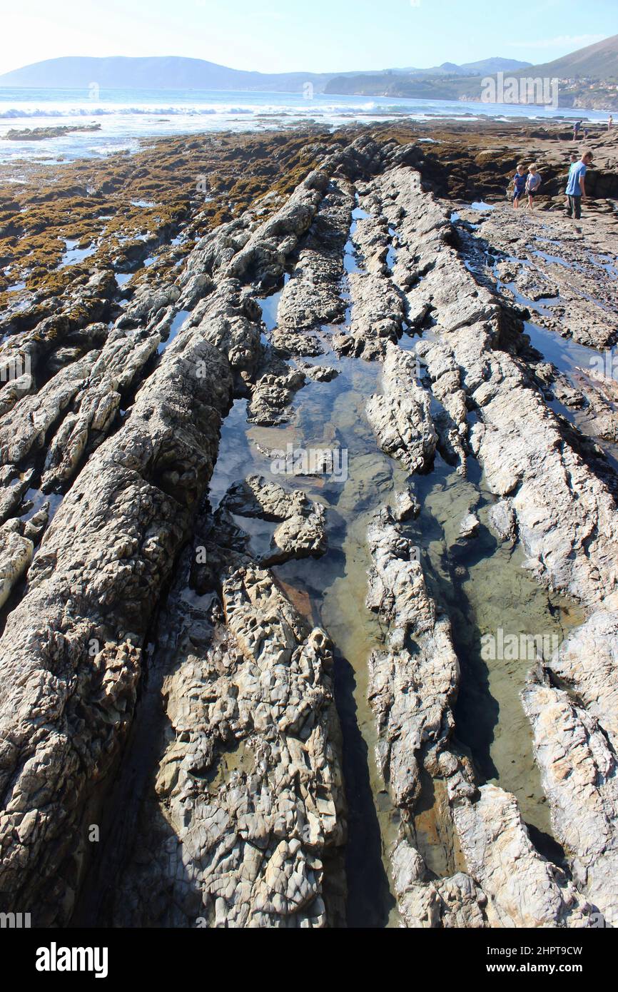 Pismo Beach Tide pools, Californie Banque D'Images