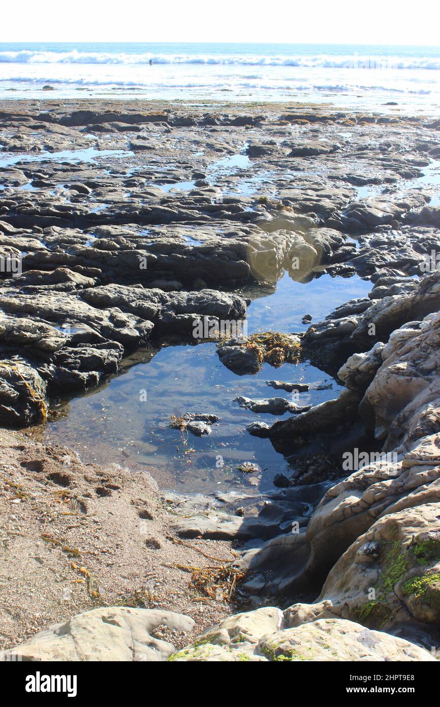 Pismo Beach Tide pools, Californie Banque D'Images