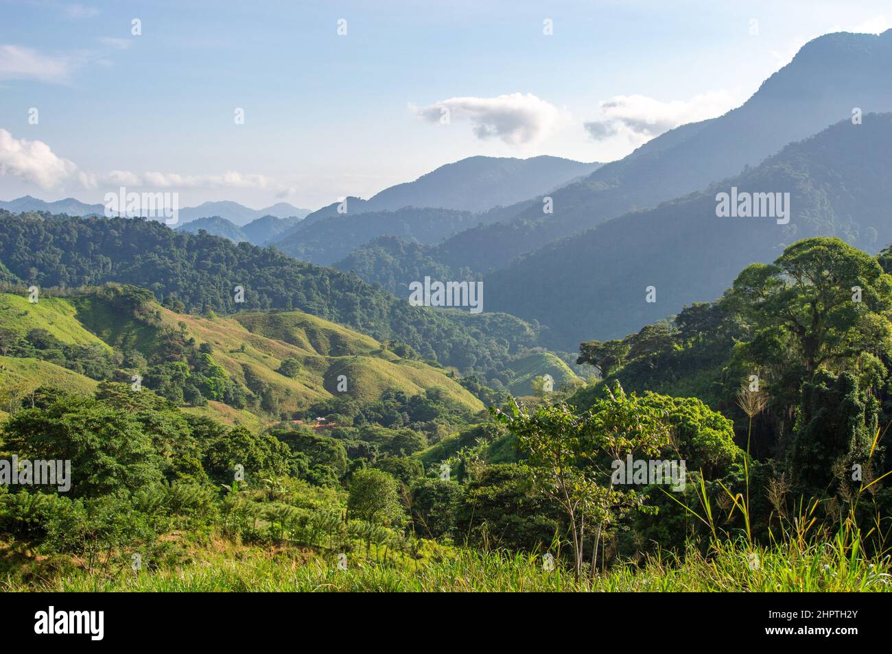 Vue sur le paysage de la jungle de la Sierra Nevada de Santa Marta, près de Lost City/Ciudad Perdida en Colombie Banque D'Images