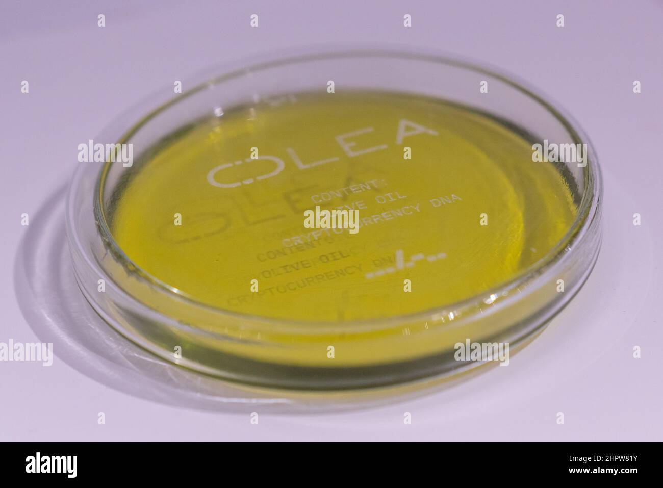 Madrid, Espagne. 23rd févr. 2022. OLEA, Soliman Lopez NFT (Tokens non fongibles) est vu pendant l'édition 41 d'ARCO.ARCO Madrid est la foire internationale d'art contemporain de l'Espagne qui, depuis 1982, a été l'une des principales plates-formes du marché de l'art et une pièce essentielle du circuit international consacré à la promotion et à la diffusion de la création artistique. Crédit : SOPA Images Limited/Alamy Live News Banque D'Images