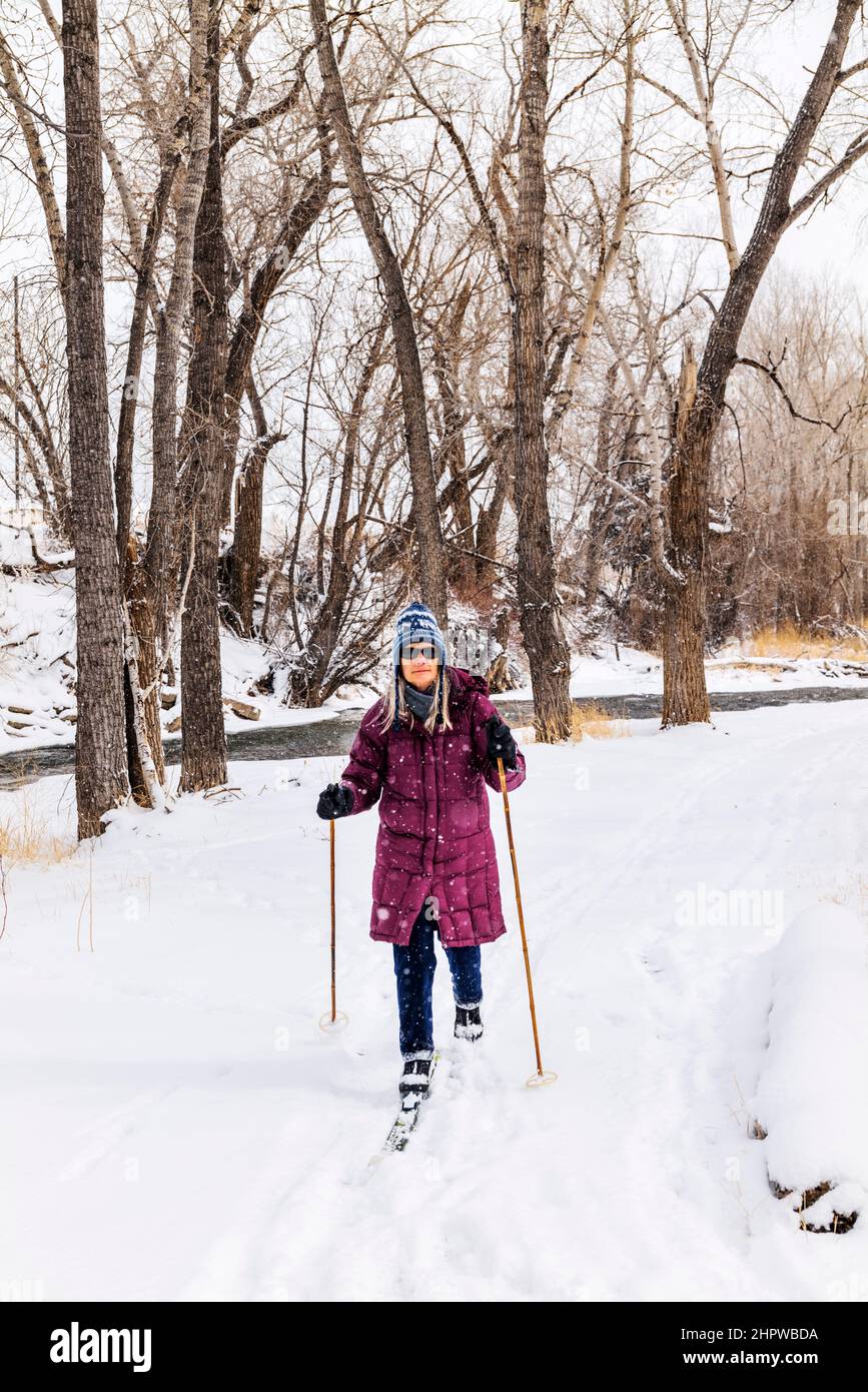 Femme sénior ski de fond dans une tempête de neige fraîche; Vandaveer Ranch; Salida; Colorado; États-Unis Banque D'Images
