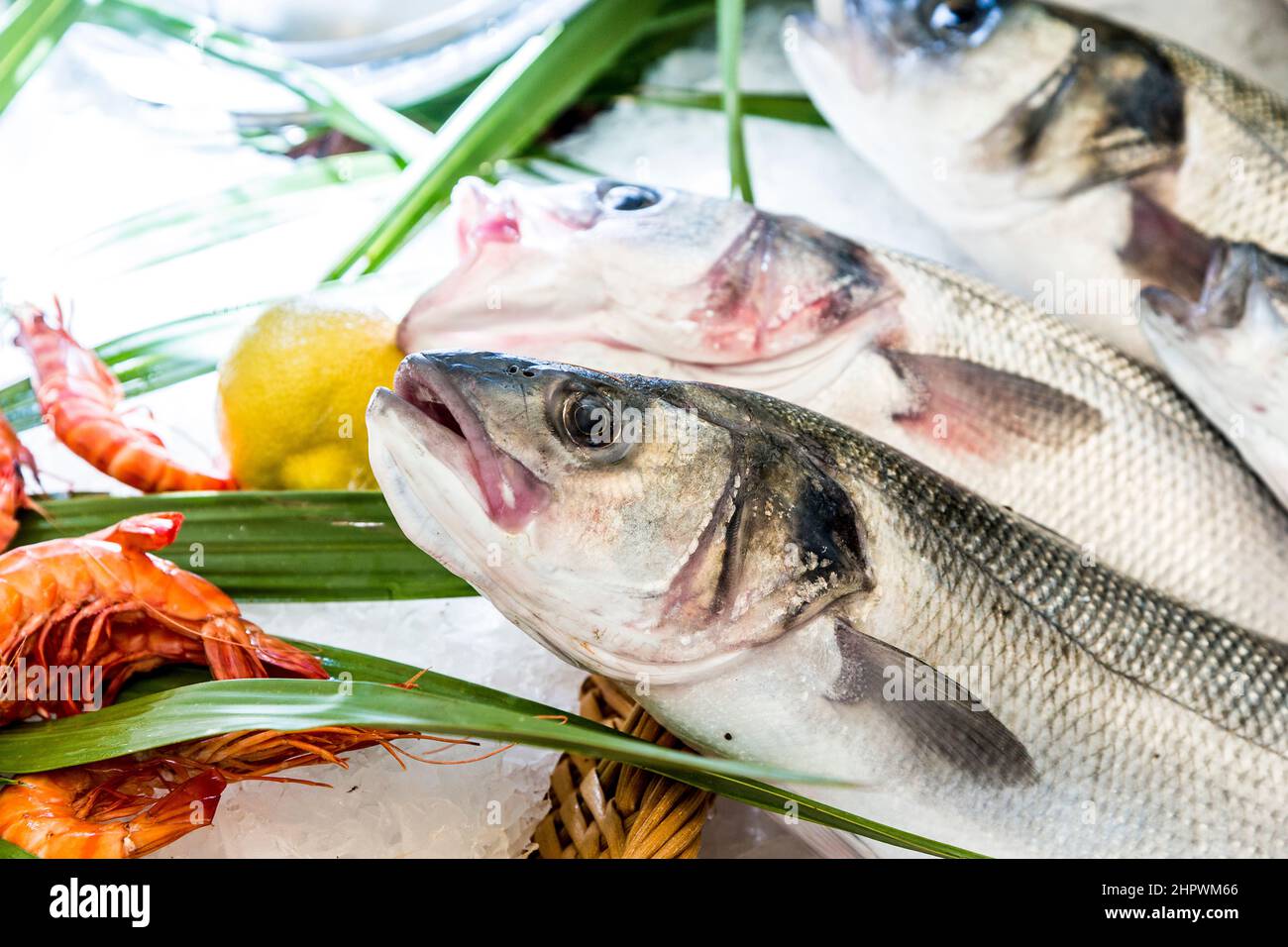 des poissons frais entiers sont offerts sur le marché des poissons de paris Banque D'Images
