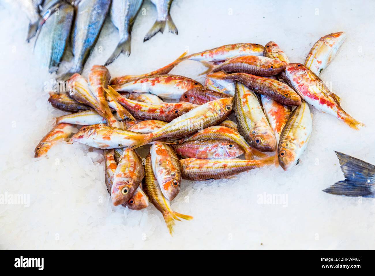 des poissons frais entiers sont offerts sur le marché des poissons de paris Banque D'Images