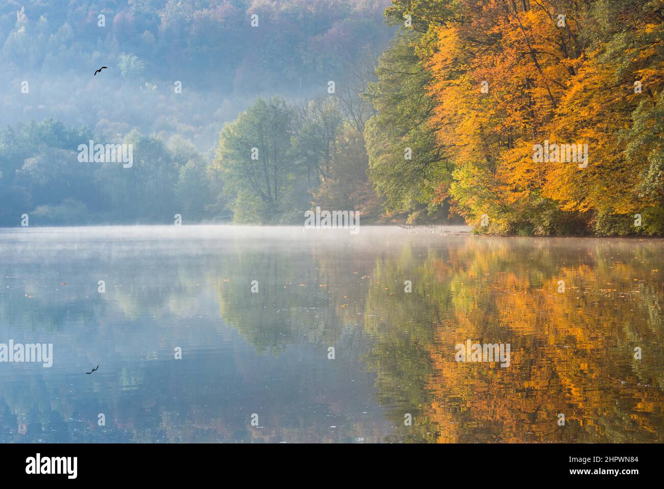 Matin d'automne au lac Thal près de Graz, région de Styrie, Autriche Banque D'Images