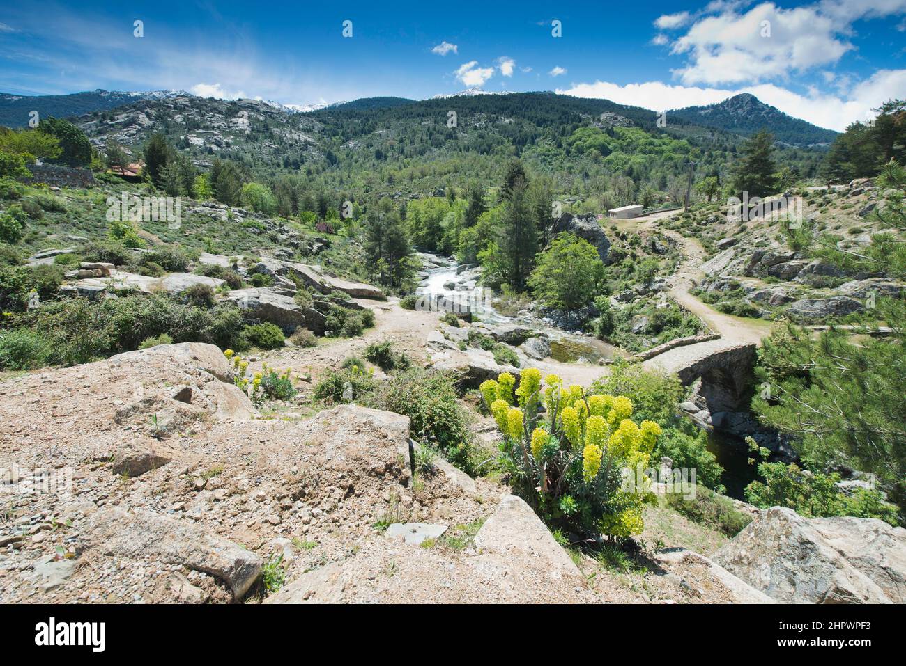 Paysage de montagne, rivière Golo, Calcuccia, Corse, France Banque D'Images