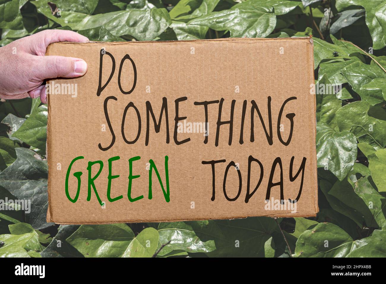Une affiche en carton avec une légende écologique sur un fond de feuilles. La main tient l'affiche sur le côté. Banque D'Images