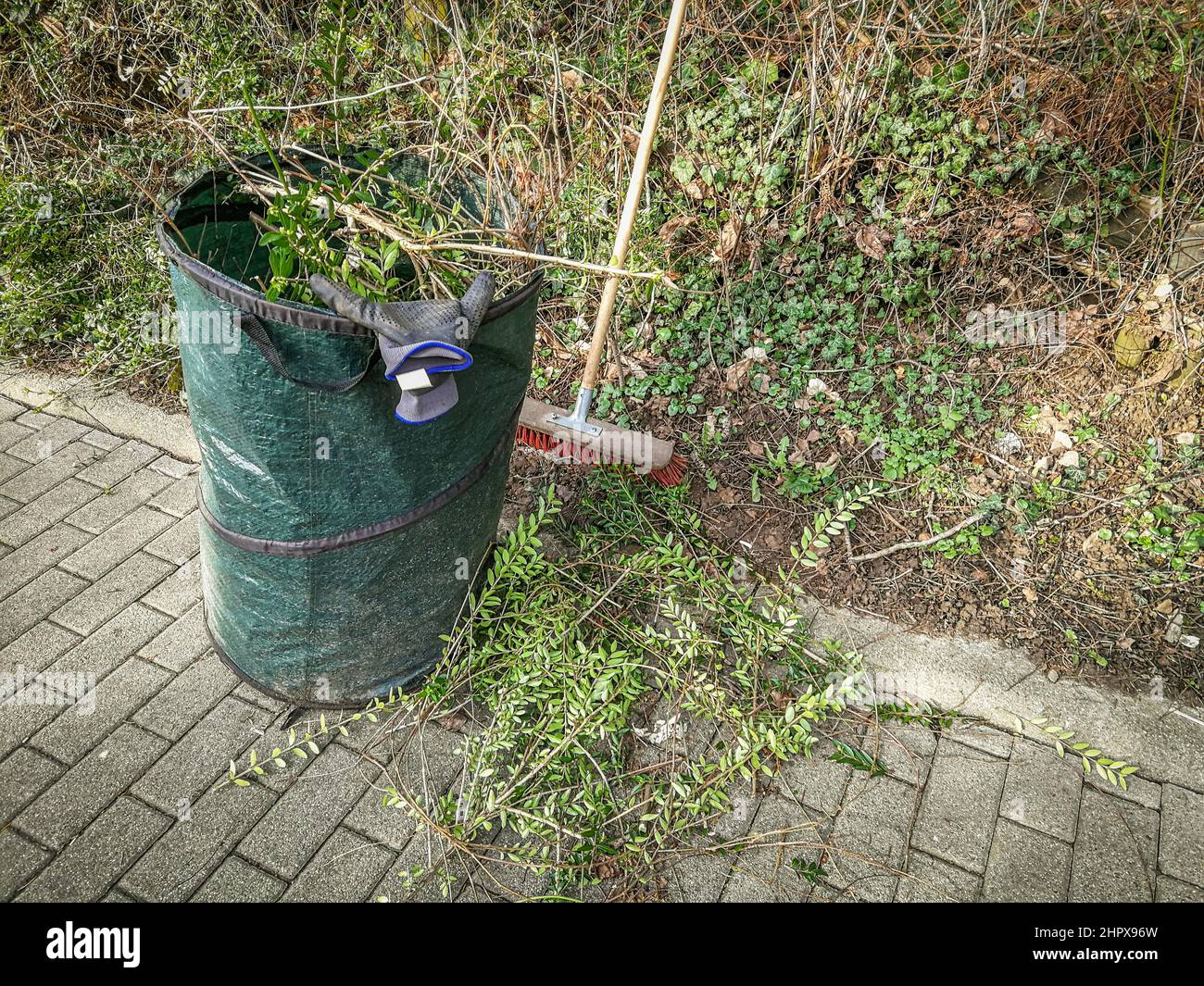 Travaux d'entretien du jardin. Sac et balai vert pour jardinier. Taille de la haie à ressort au niveau de la clôture sur une limite de propriété Banque D'Images