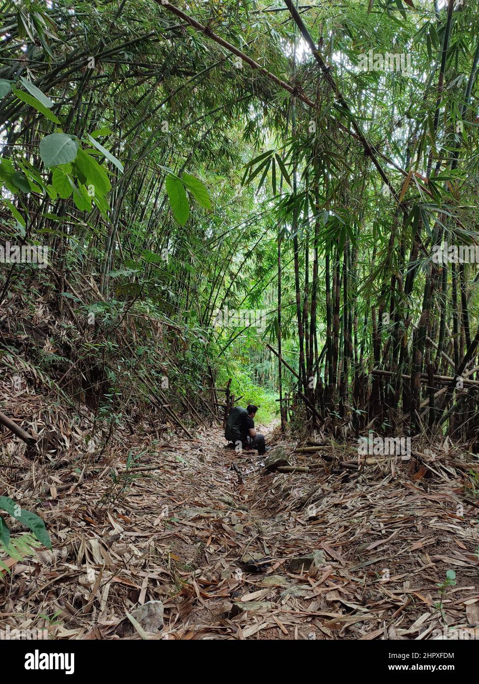 Photo verticale d'un homme en randonnée quelque part dans la province de Rizal, aux Philippines Banque D'Images