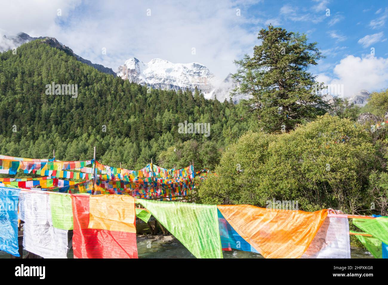 SICHUAN, CHINE - drapeau de prière à la réserve naturelle de Yading. Un paysage célèbre à Daocheng, Sichuan, Chine. Banque D'Images