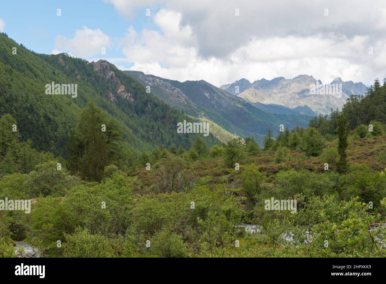 SICHUAN, CHINE - Réserve naturelle de Yading. Un paysage célèbre à Daocheng, Sichuan, Chine. Banque D'Images