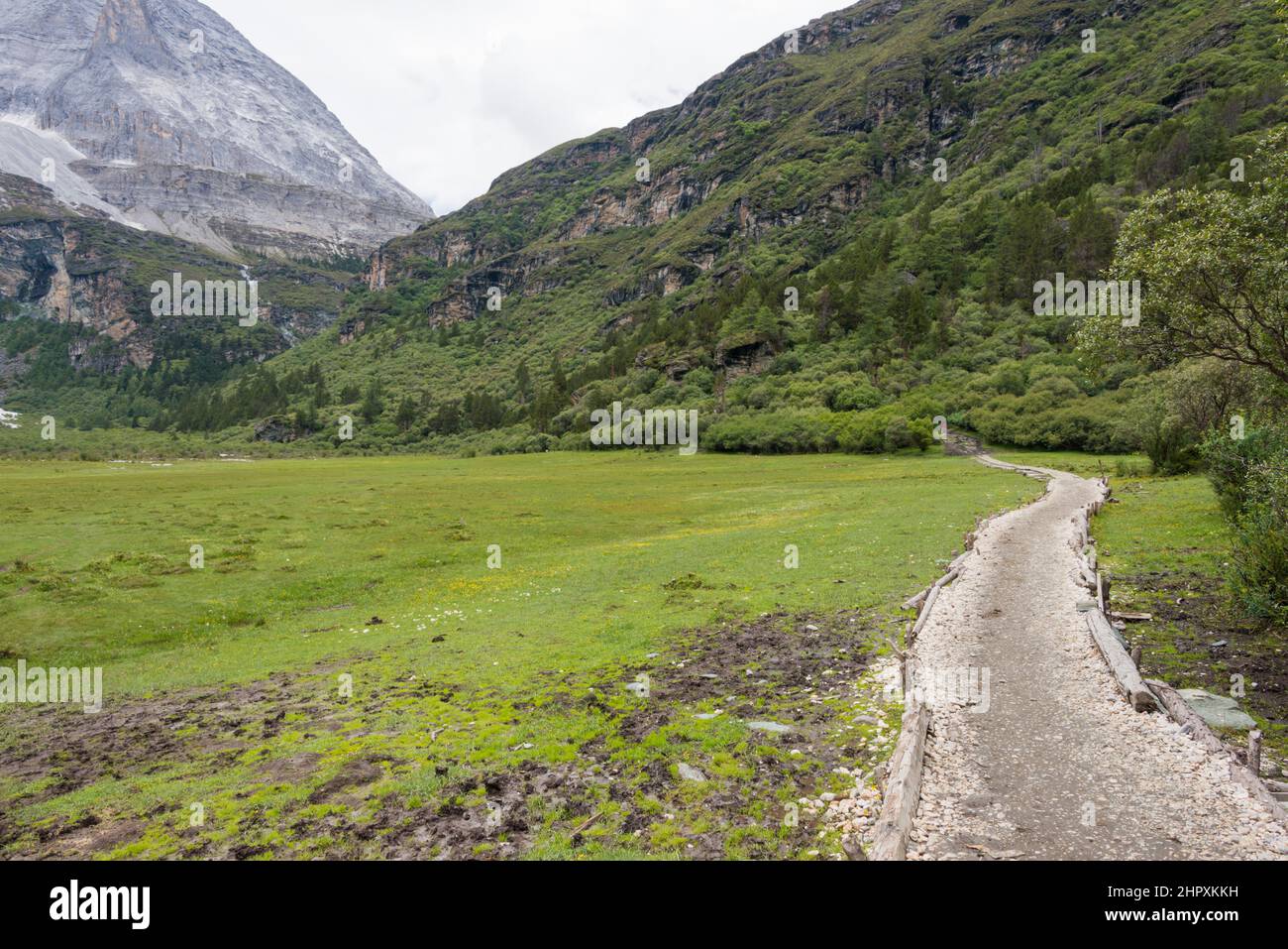 SICHUAN, CHINE - Réserve naturelle de Yading. Un paysage célèbre à Daocheng, Sichuan, Chine. Banque D'Images