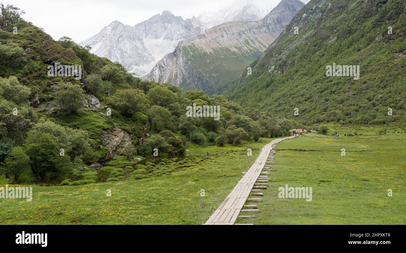 SICHUAN, CHINE - Réserve naturelle de Yading. Un paysage célèbre à Daocheng, Sichuan, Chine. Banque D'Images