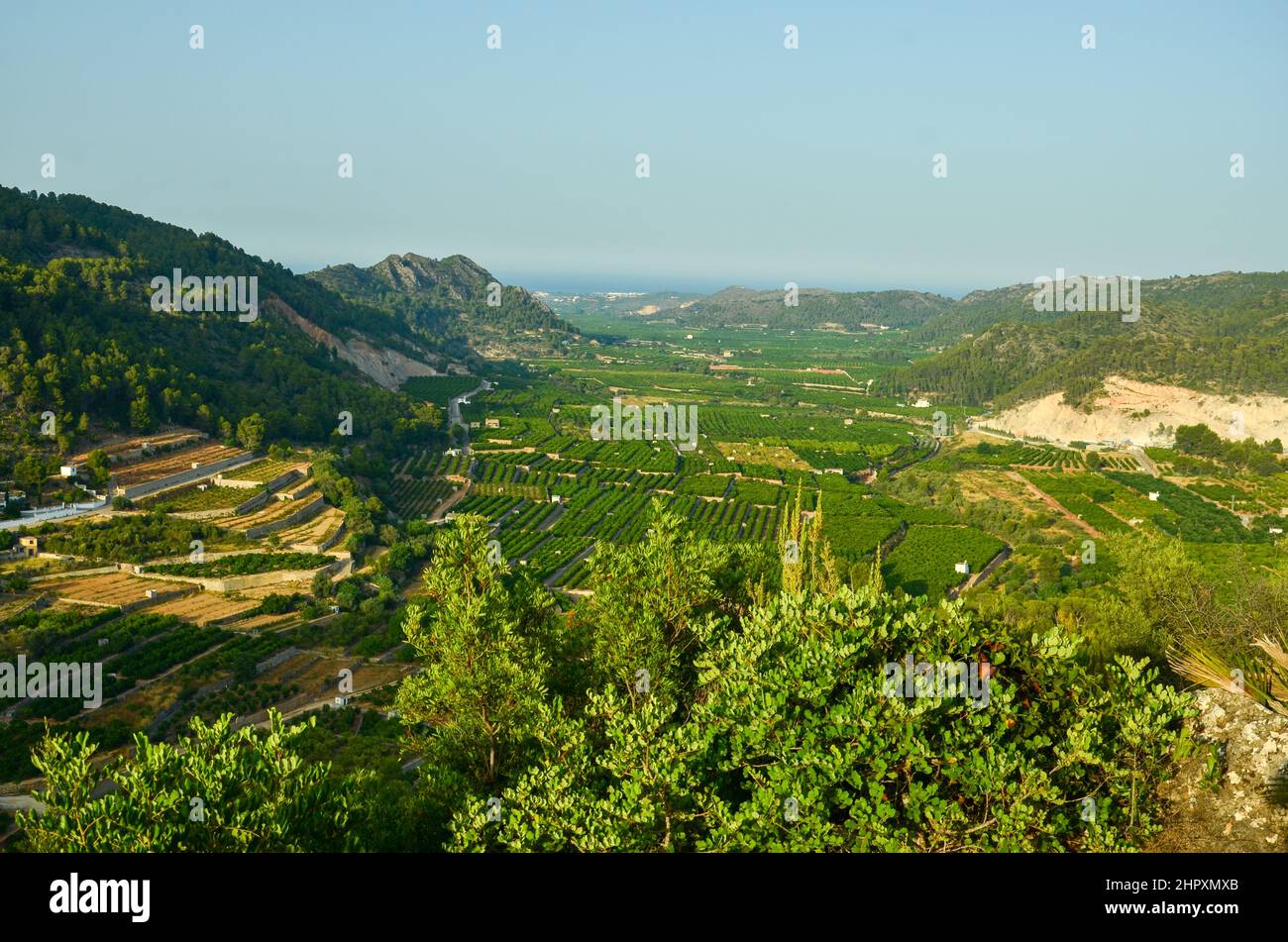 Vue sur les plantations d'orange sur la côte méditerranéenne de l'Espagne entre les montagnes. À l'horizon la mer Méditerranée Banque D'Images