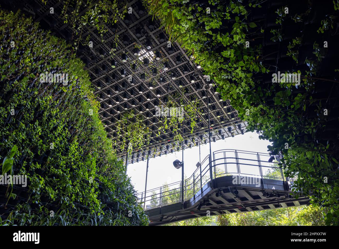 Le magnifique pavillon de Singapour inspiré de la nature dans le quartier de la durabilité à l'EXPO 2020 de Dubaï aux Émirats Arabes Unis. Banque D'Images