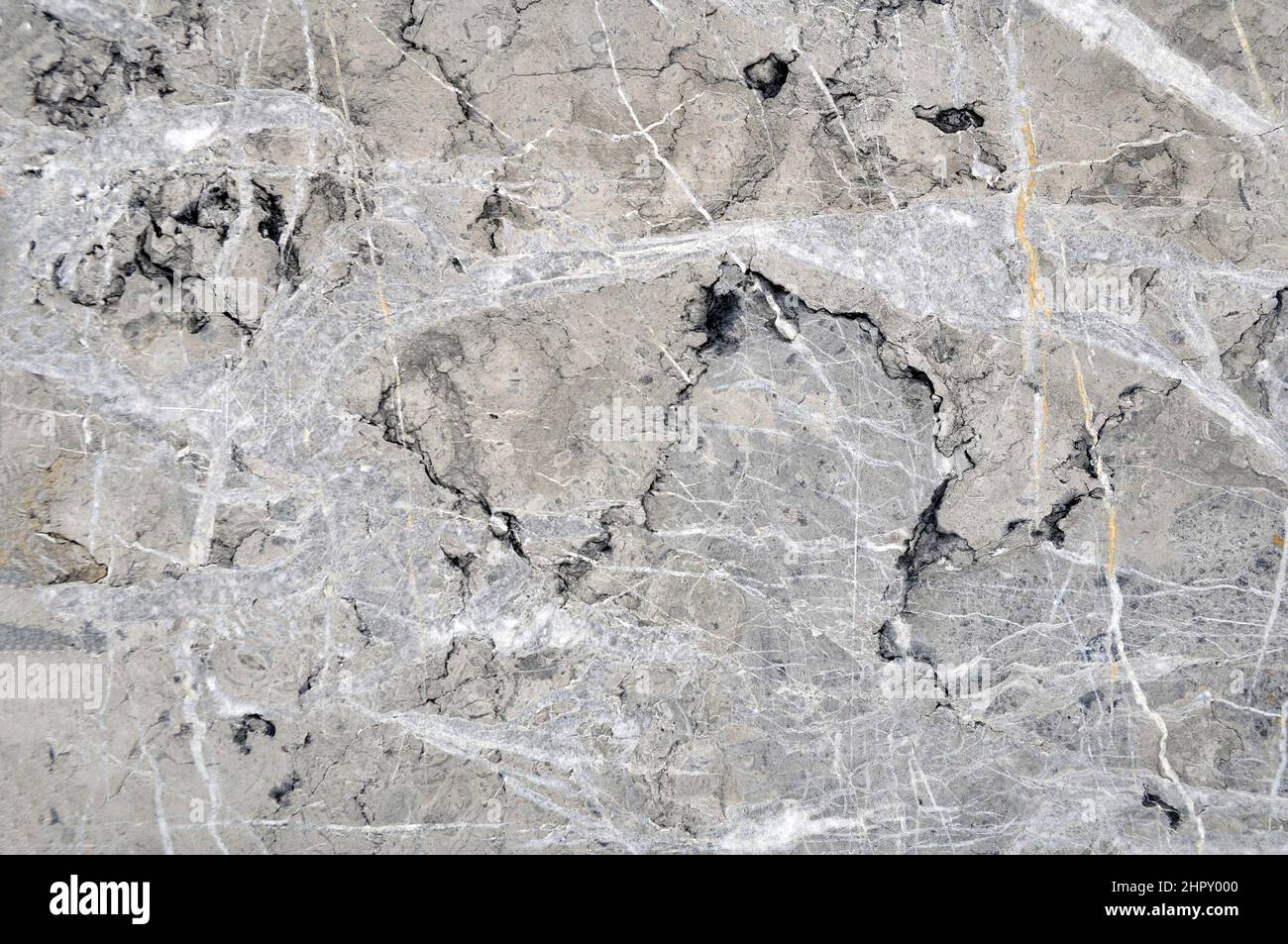 La texture d'un mur de pierre fait de roche de coquille. Décoration murale à partir de matériaux d'origine naturelle. Banque D'Images