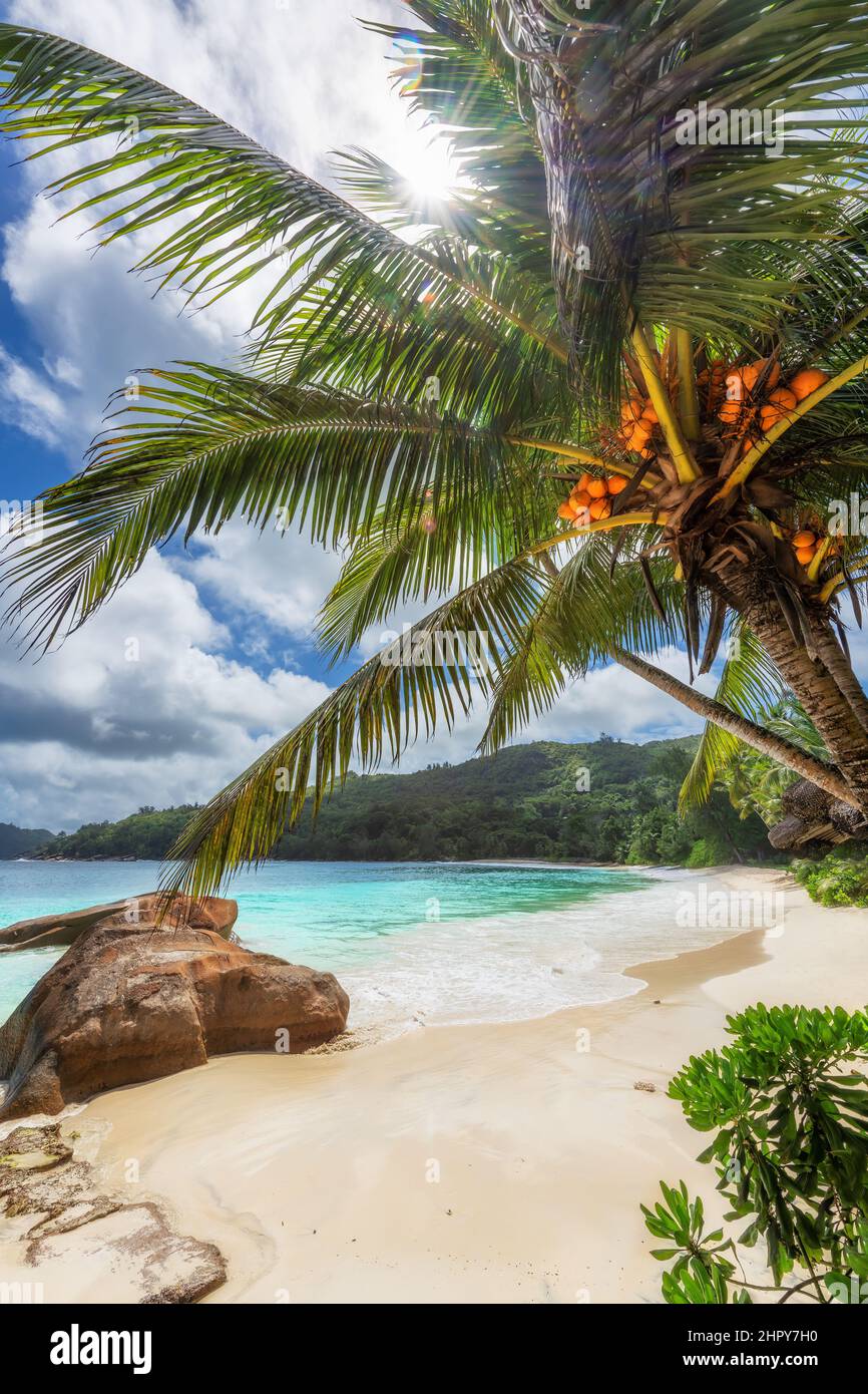 Belle plage ensoleillée dans l'île tropicale exotique des Seychelles Banque D'Images