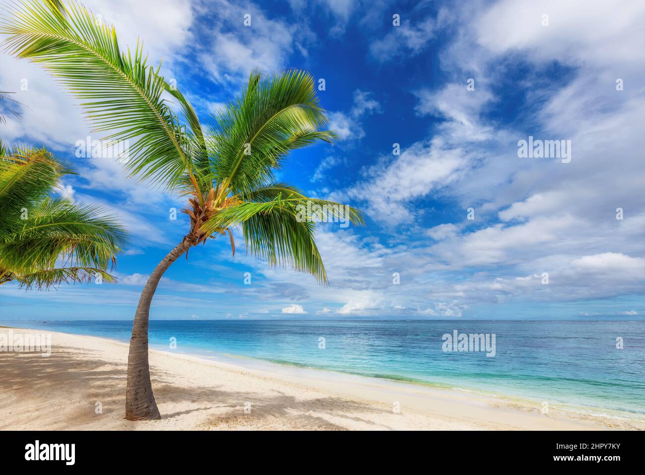 Plage de sable blanc tropical et mer turquoise sur l'île des Caraïbes. Banque D'Images