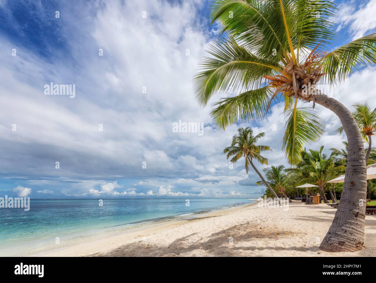 Palmiers Coco sur une plage de sable dans une île tropicale et une mer turquoise Banque D'Images