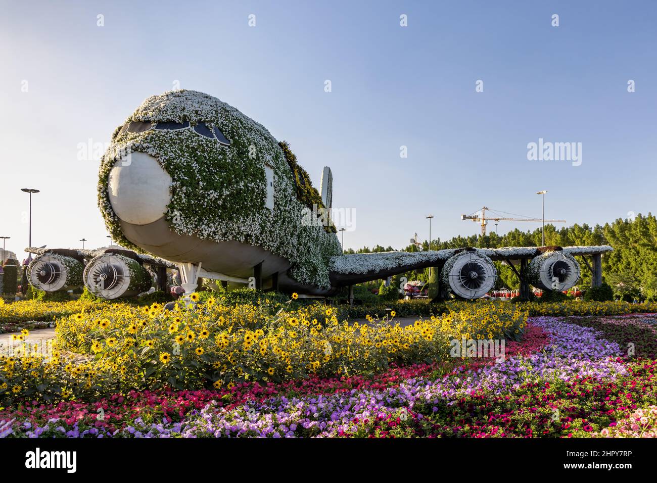 Un Airbus A380 à fleurs au Dubai Miracle Garden, Émirats arabes Unis. Banque D'Images