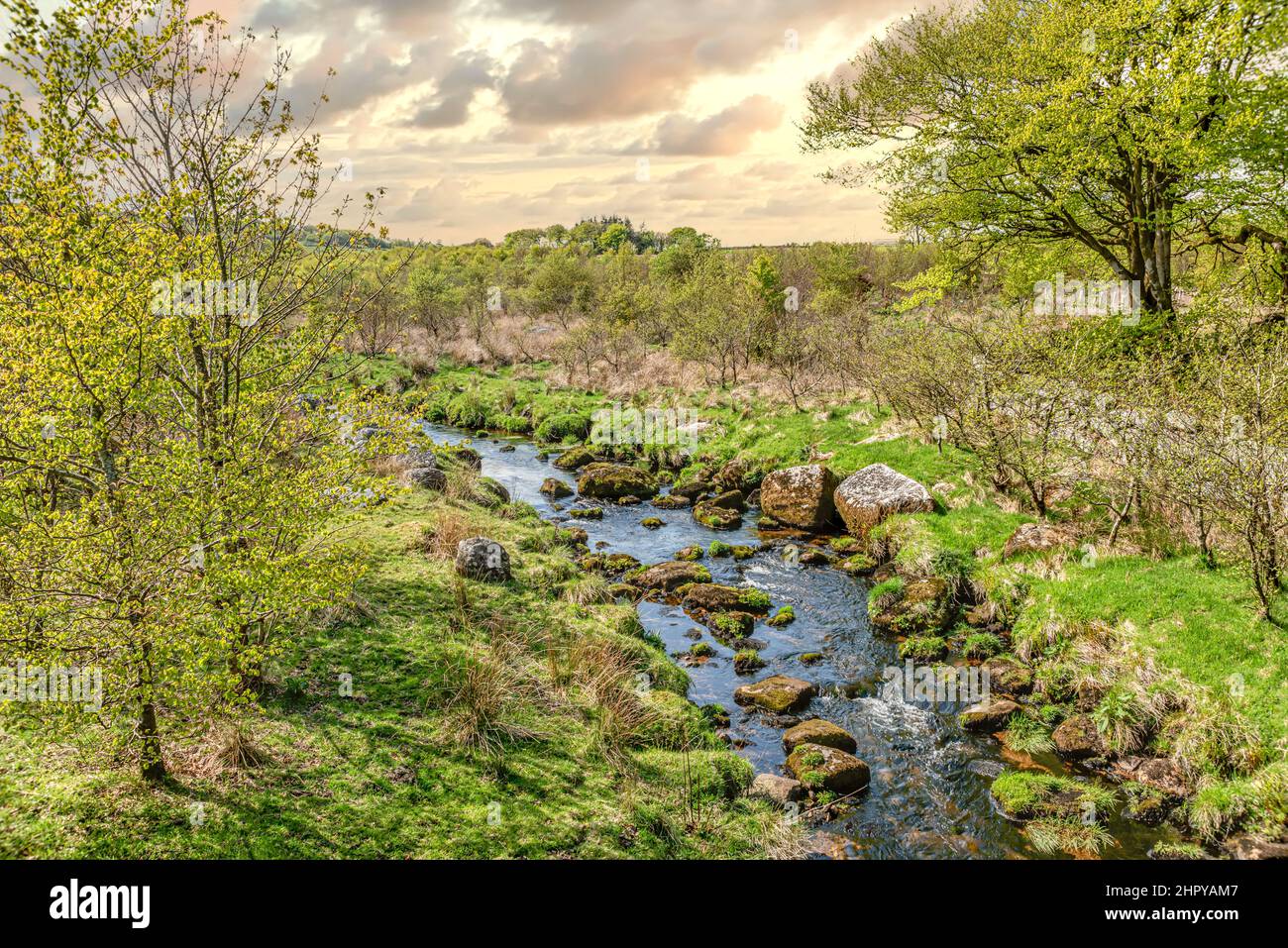 Paysage d'été au parc national de Dartmoor, Devon, Angleterre, Royaume-Uni Banque D'Images