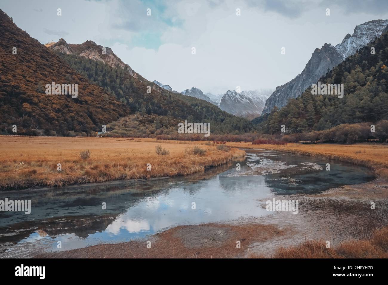 Vue panoramique sur la prairie de Yading Chongqing à Daocheng, Ganzi, Sichuan, Chine Banque D'Images