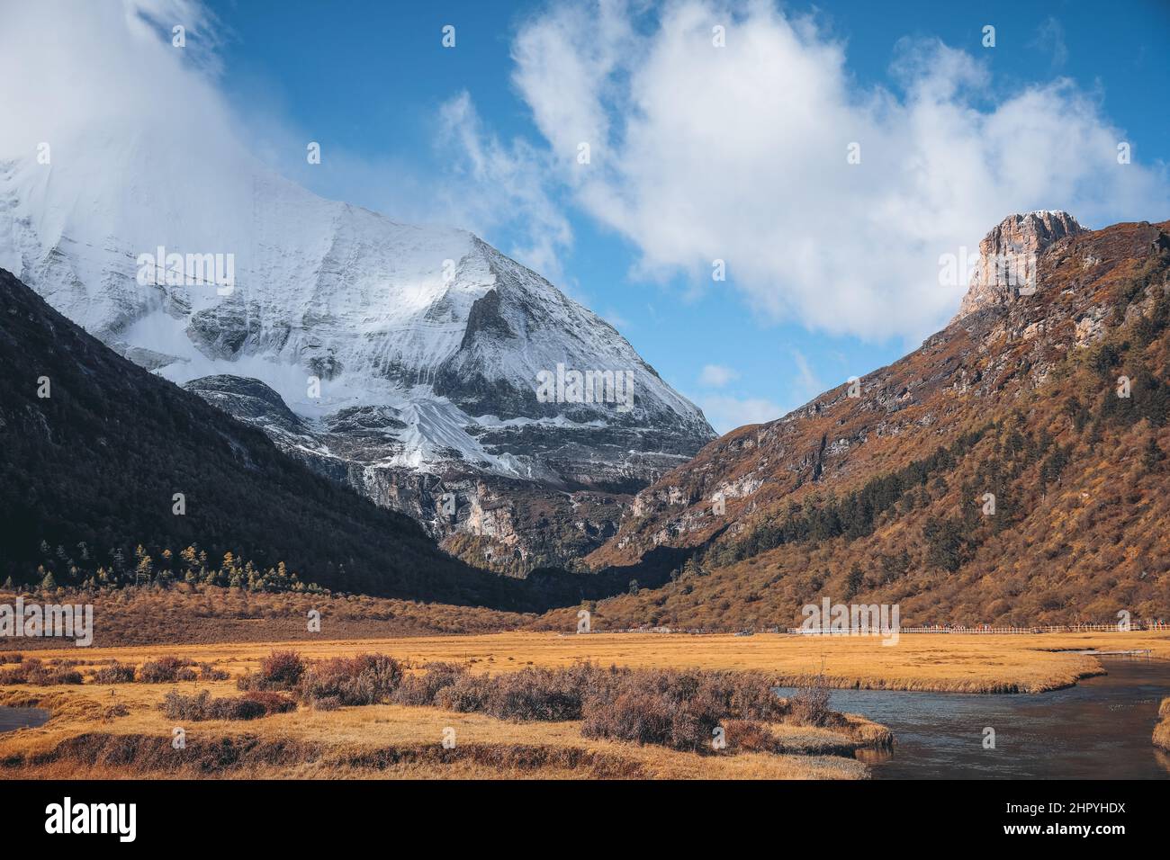 Vue panoramique sur la prairie de Yading Chongqing à Daocheng, Ganzi, Sichuan, Chine Banque D'Images