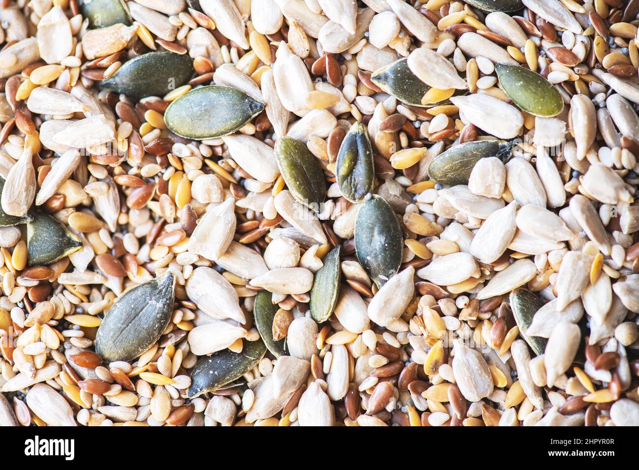 Gros plan du mélange de semences. Concept de saine alimentation. Banque D'Images