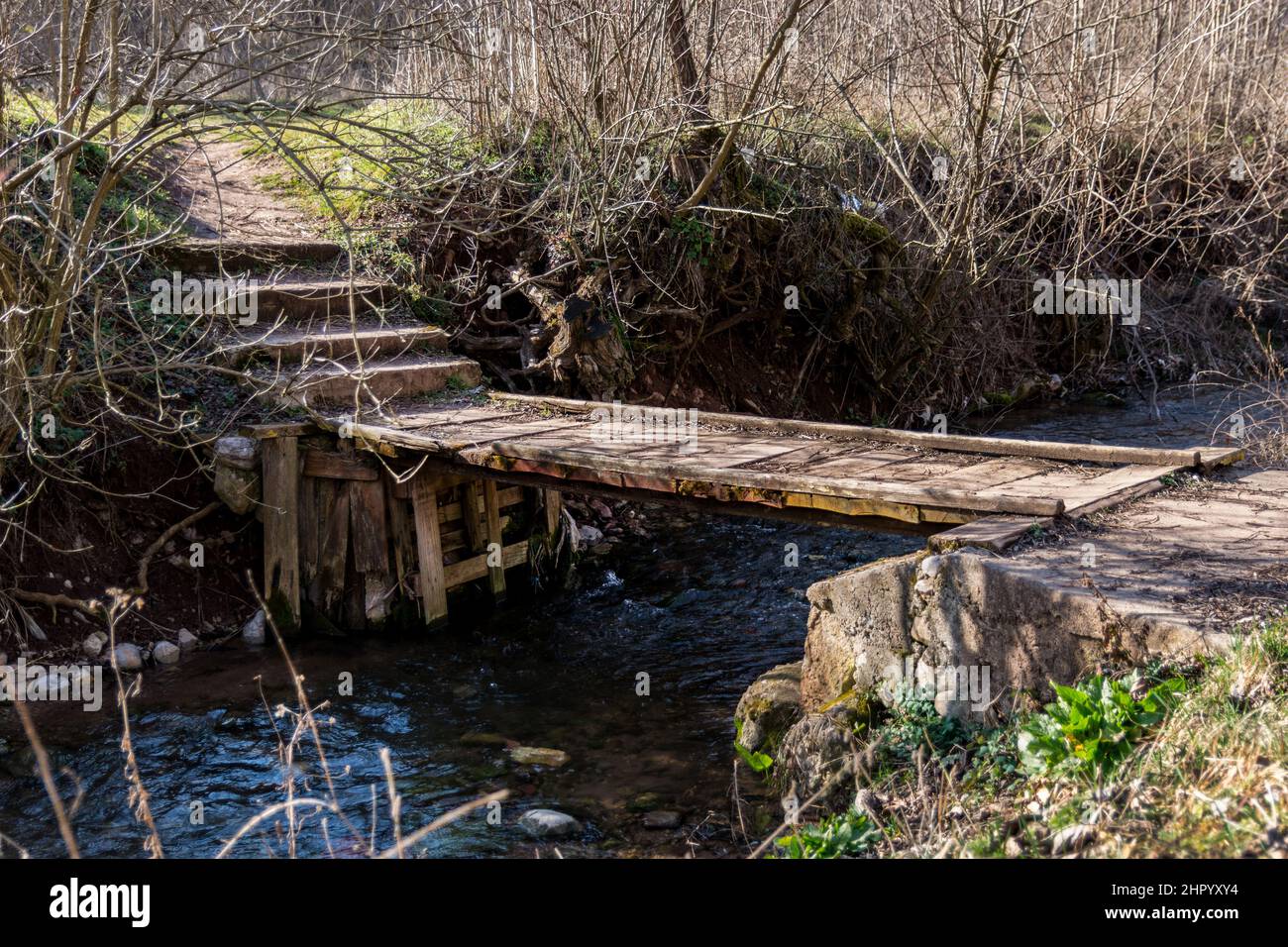 Une petite passerelle en bois traversant la rivière dans les bois lors d'une journée de printemps ensoleillée. Concept d'arrière-plan de la nature Banque D'Images