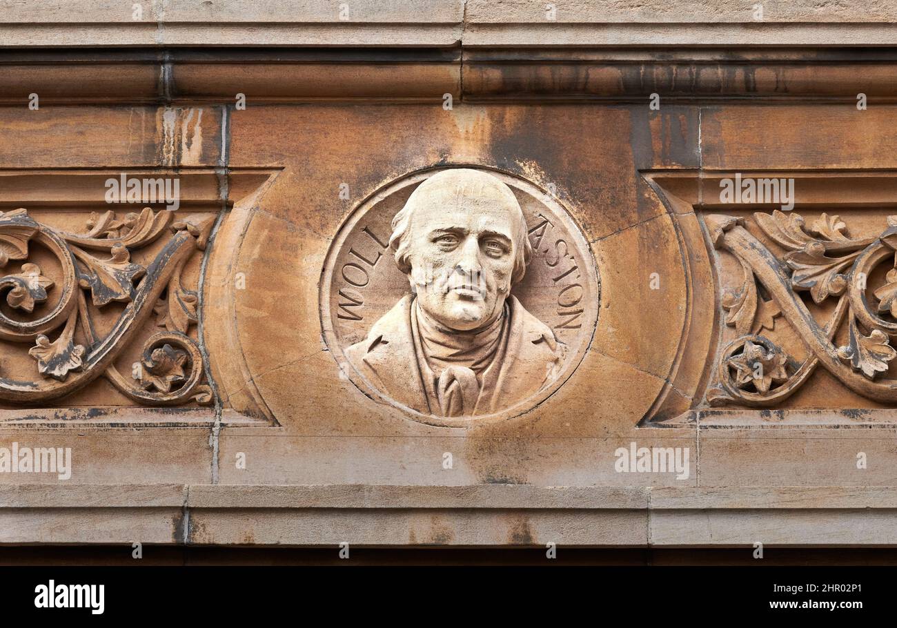 Sur un mur extérieur au Gonville & Caius College, université de Cambridge, Angleterre, un buste d'un ancien étudiant, William Hyde Wollaston (1766-1828) chimiste. Banque D'Images