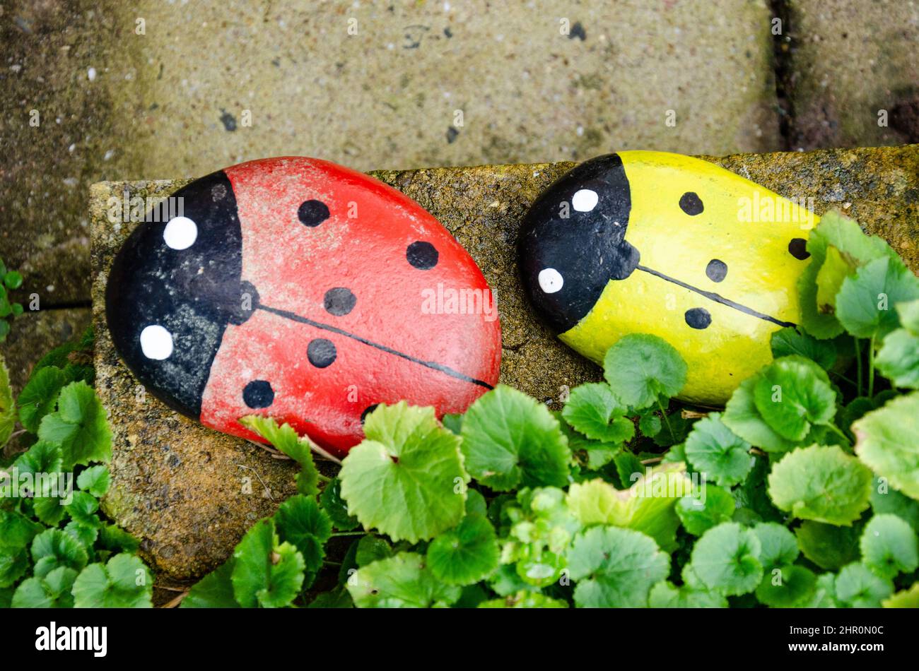 Quelques pierres peintes comme des ladybirds rouges et jaunes sur un mur dans un jardin. Banque D'Images