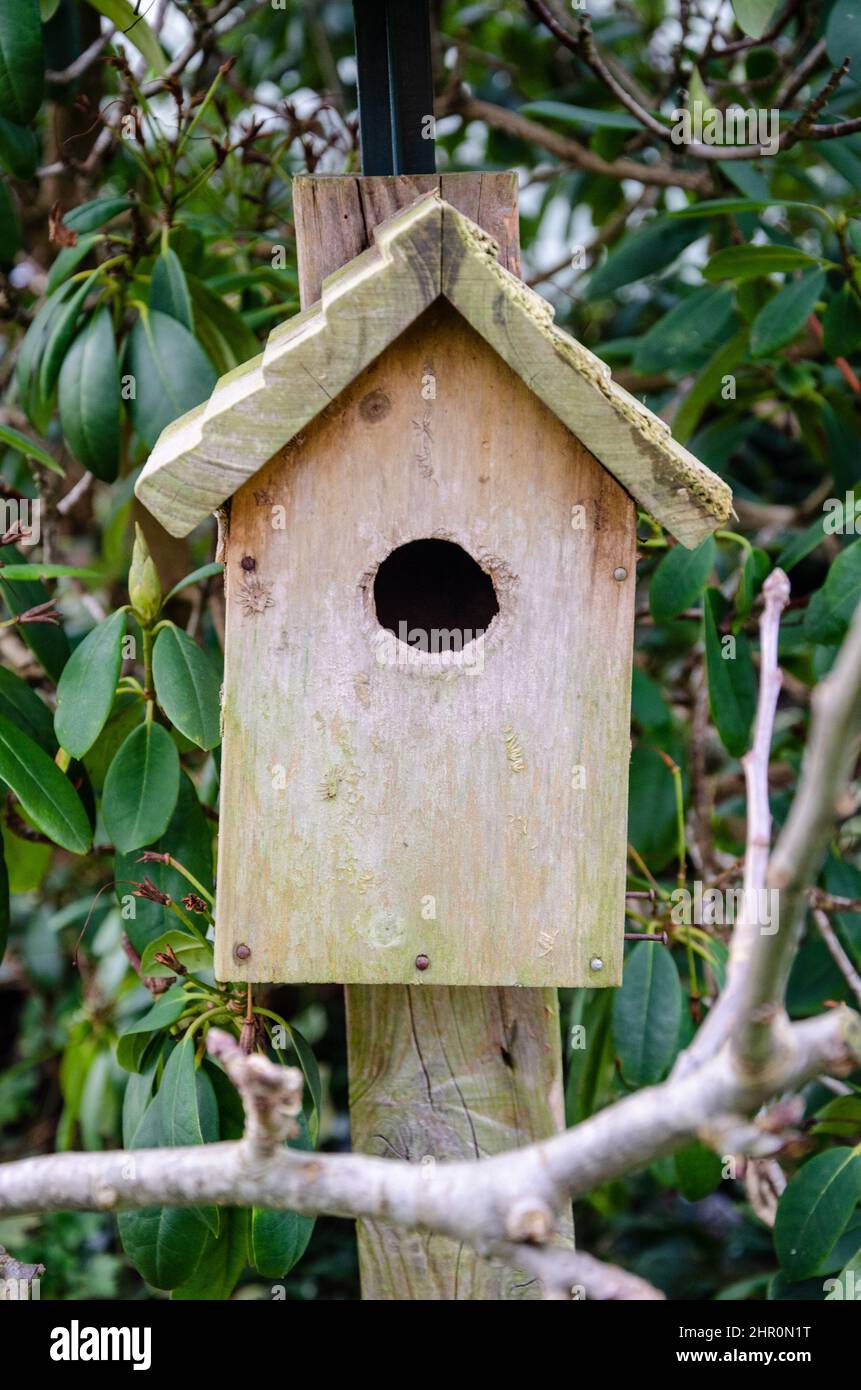 Gros plan d'une boîte à oiseaux abîmée dans un jardin résidentiel. Banque D'Images