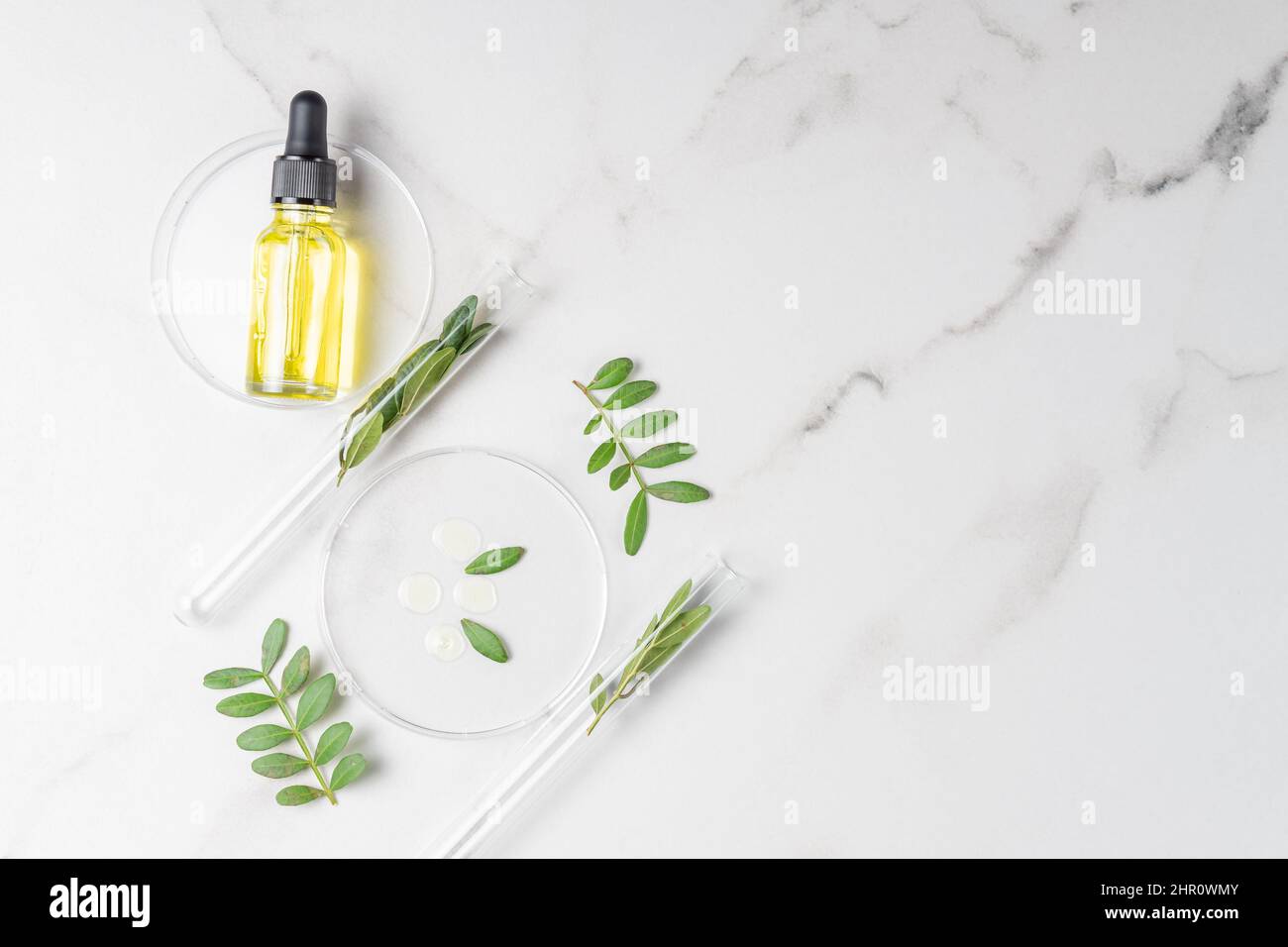 Concept de laboratoire cosmétique. Boîte de Petri en verre et tubes à essai avec herbes et produits cosmétiques et flacons de sérum sur fond de marbre. Image de Flat lay Banque D'Images
