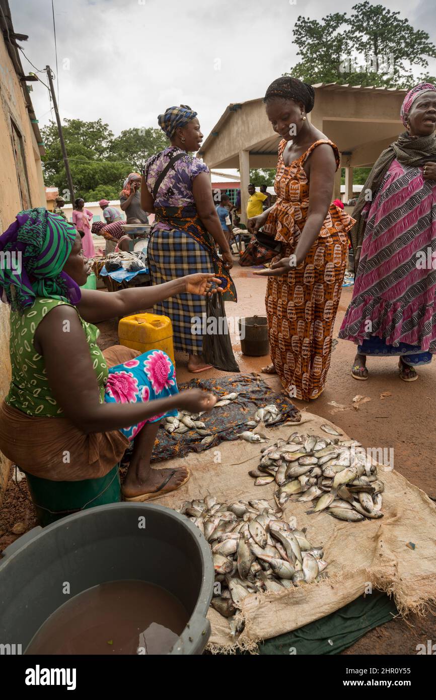 Les femmes achètent et vendent du poisson frais sur un marché de rue à Tanaff, Sénégal, Afrique de l'Ouest. Banque D'Images