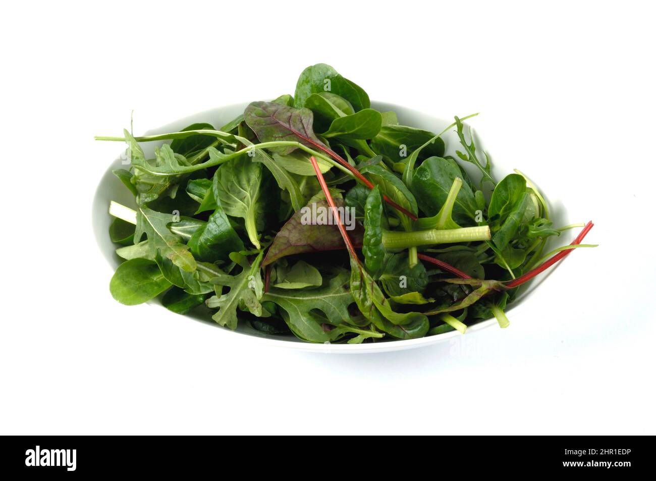 Salade du jardin (Lactuca sativa), salade verte fraîche mélangée du jardin dans un bol blanc Banque D'Images