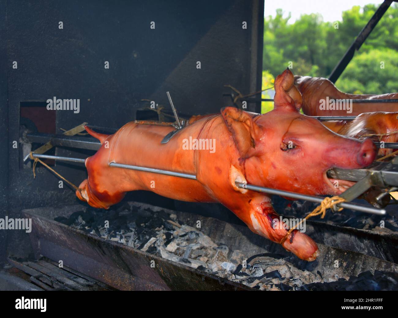 Cochon domestique (sus scrofa F. domestica), cochon de lait sur le gril à charbon de bois , Croatie, Istrie Banque D'Images