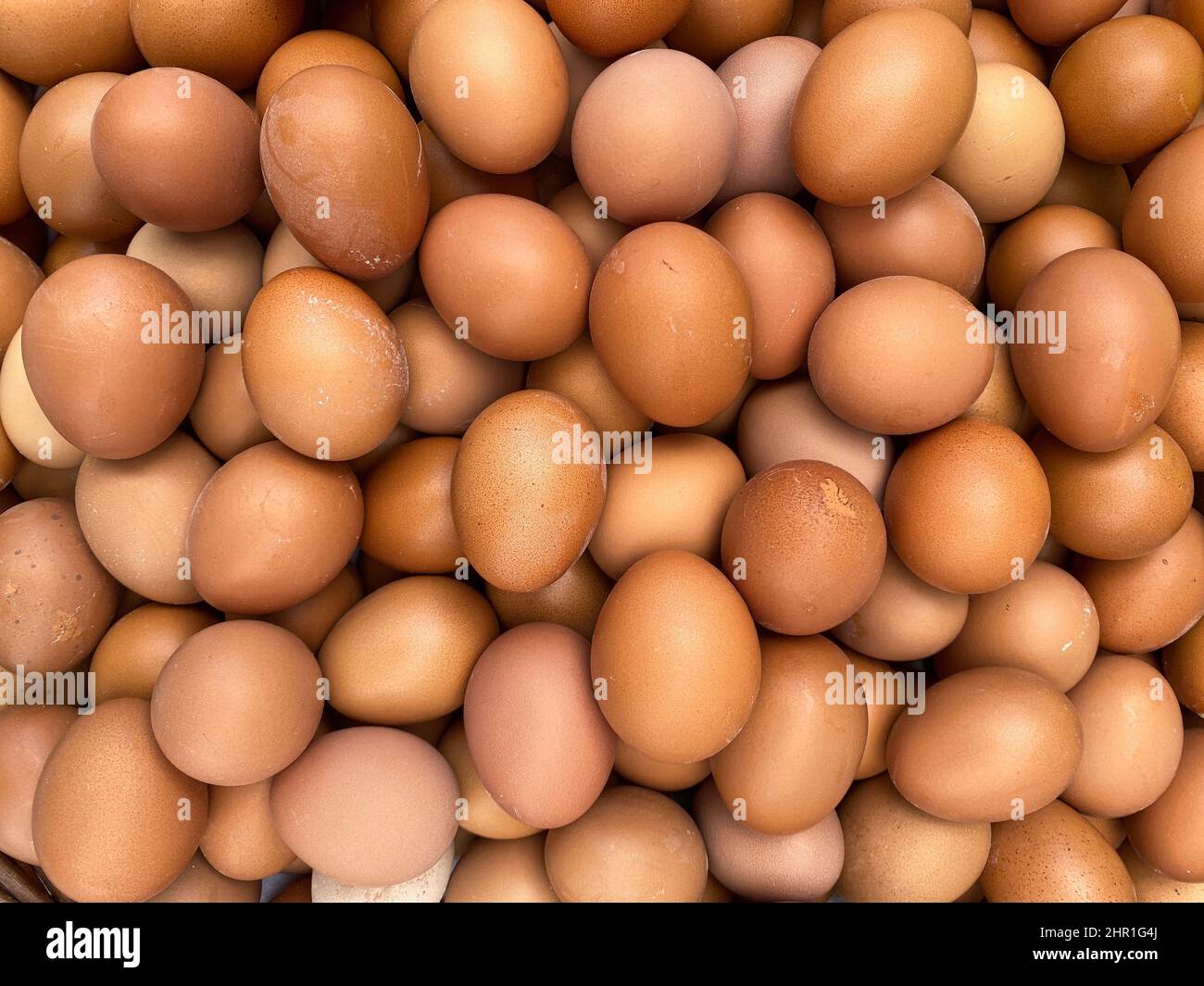 les oeufs de thé sont pleins de la casserole pour vendre le design pour les oeufs bruns fond de gros plan Banque D'Images