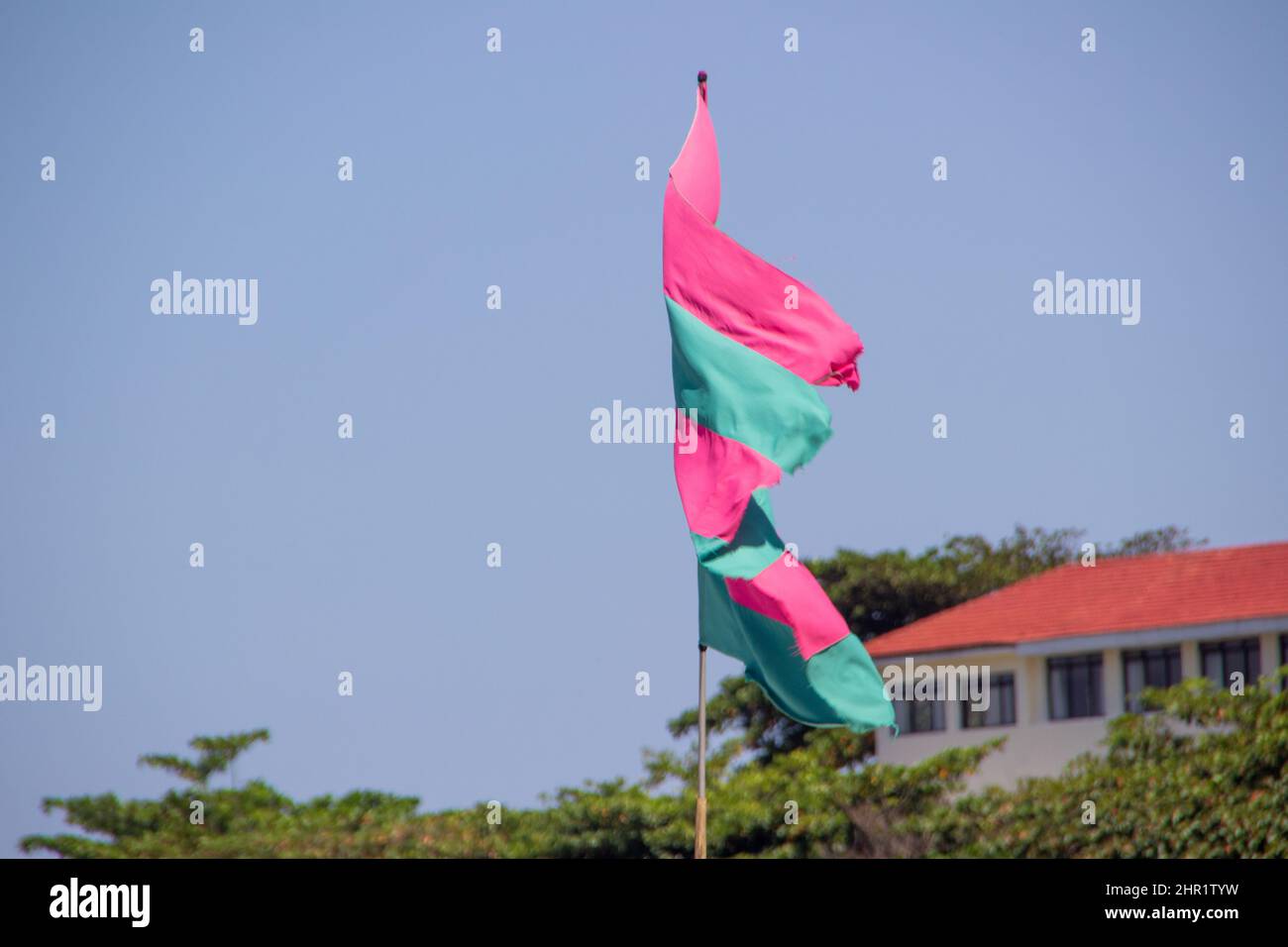 Drapeau vert et rose, en l'honneur de l'école de samba à la mangue, avec un ciel bleu en arrière-plan, à Rio de Janeiro, au Brésil. Banque D'Images