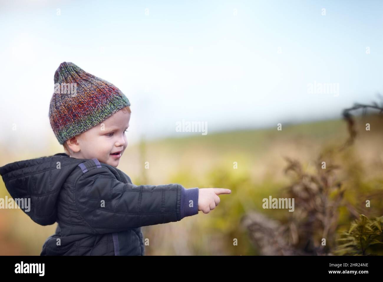 Facinated par nature. Un petit garçon mignon pointant vers quelque chose à l'extérieur. Banque D'Images