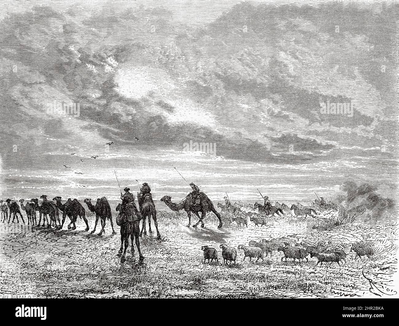 Troupeaux d'animaux dans le désert de Gobi, Mongolie. Asie. Voyage en Mongolie par Nikolai Mijailovich Przewalski en 1870-1873, le Tour du monde 1877 Banque D'Images