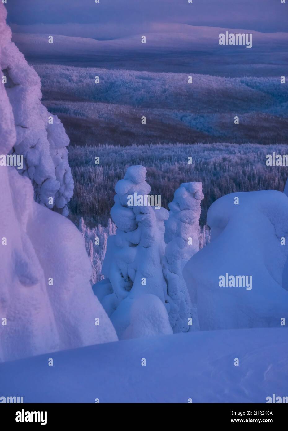 La Laponie ferme sur le mont Polyud dans le territoire de Perm. Il y a beaucoup de neige et de givre sur les arbres au coucher du soleil. Vue de la montagne à la forêt d'hiver Banque D'Images