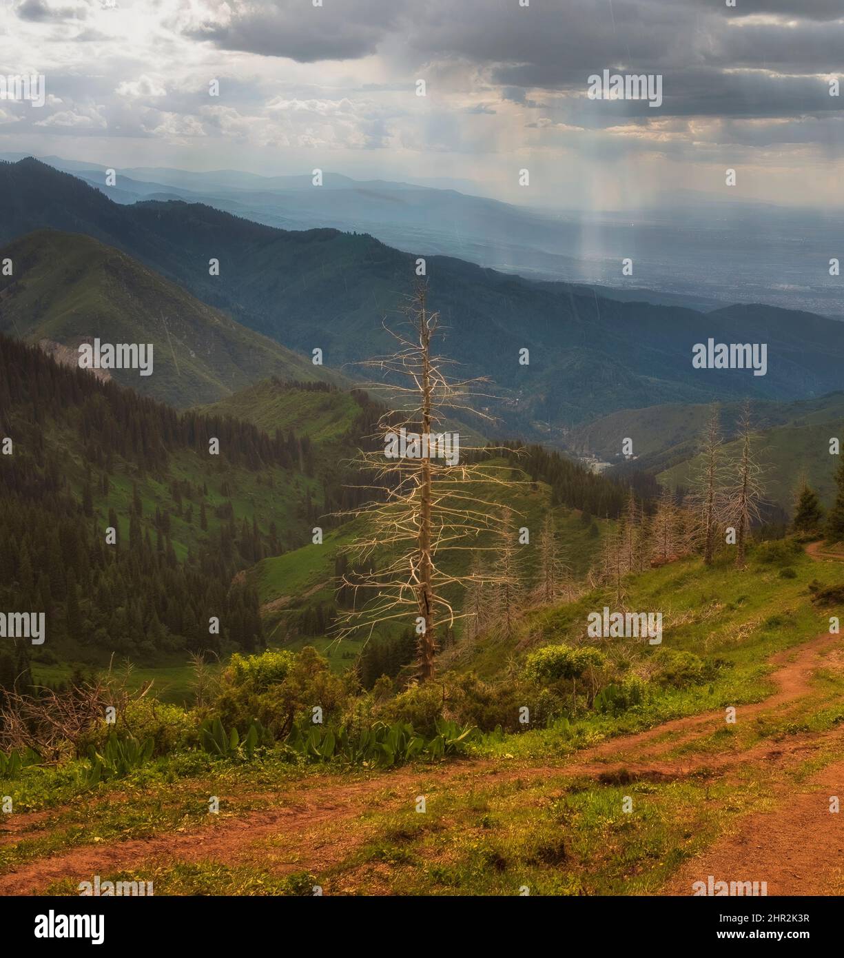 Paysage d'automne de la forêt dans la vallée de montagne près d'Almaty, Kazakhstan Banque D'Images