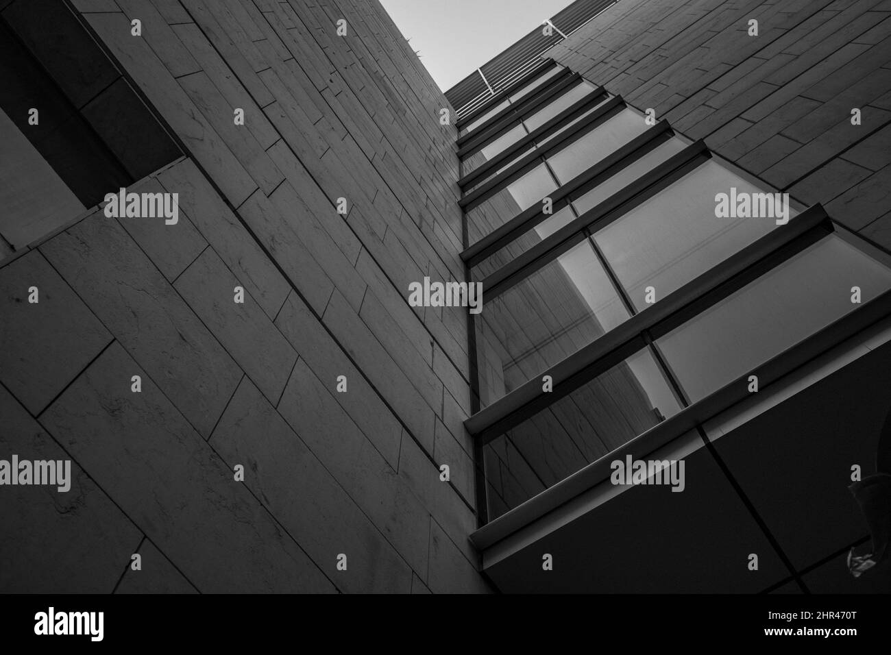 Champ vert Banque D'Images